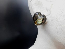 heart earrings abalone main